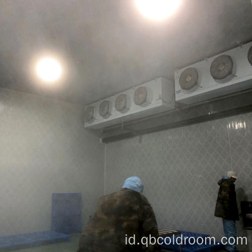 Kamar Freezer Cepat -30 Degree